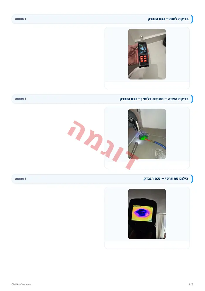 עמוד 3 מתוך 5 — דוח בדיקה לדוגמה